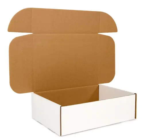 B4 Self Locking Carton Box